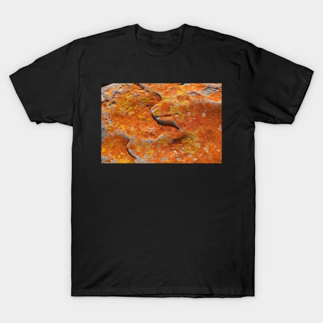 Contentment T-Shirt by fotoWerner